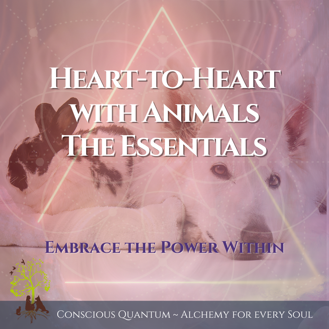 Heart-to-Heart with Animals: The Essentials